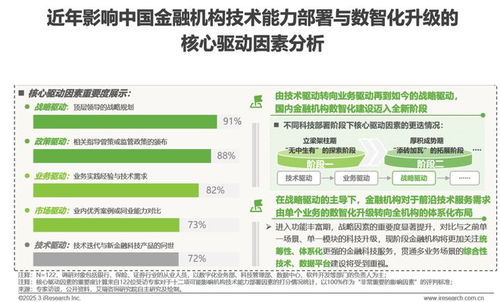2025年中國(guó)金融科技（FinTech）行業(yè)發(fā)展洞察報(bào)告 信息技術(shù)咨詢(xún)服務(wù)的核心作用