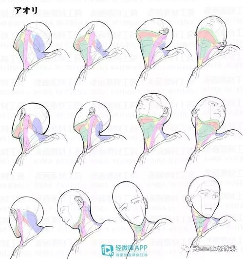 不會畫頭像？這100張高清素材趕緊收藏，平面設計必備！